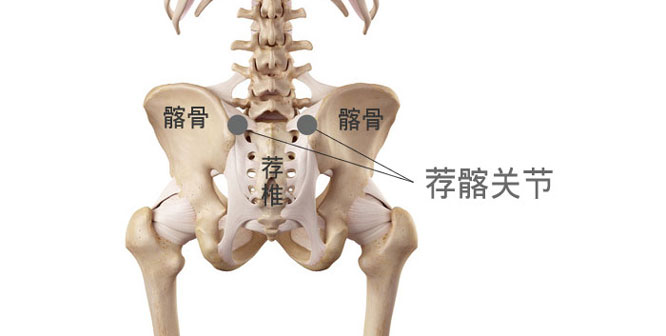 荐髂关节位置
