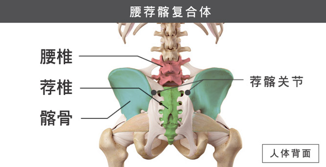 下背痛, 腰痛, 原因可能是腰椎、荐椎、髂骨失衡所造成