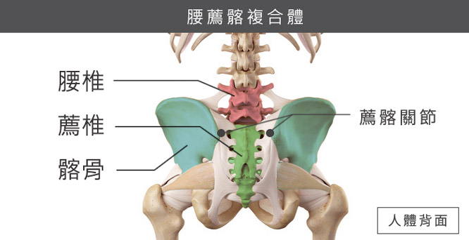 下背痛, 腰痛, 原因可能是腰椎、薦椎、髂骨失衡所造成