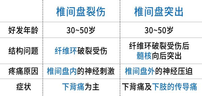 椎间盘撕裂伤和突出的差异