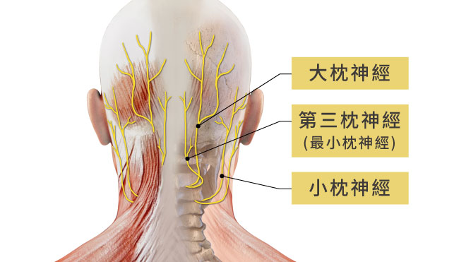 後頸部枕神經