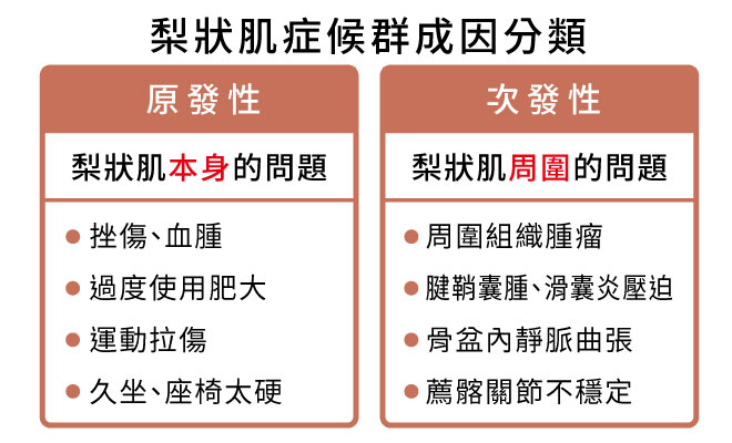 梨状肌症候群成因分类